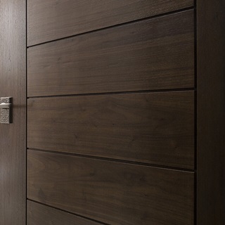 modern wood door
